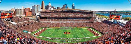Master Pieces NFL Cincinnati Bengals Panoramic Stadium Puzzle (1000-Piece)
