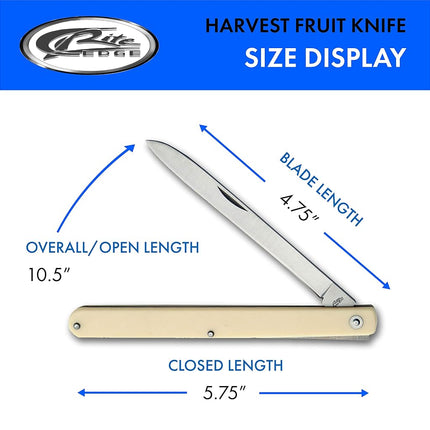 SZCO Supplies 210970 Alabaster Harvest Fruit Folding Knife