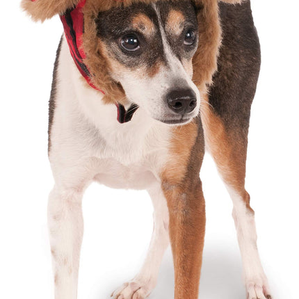 Rubies Costume Co Company 580343_S-M Trapper Pet H