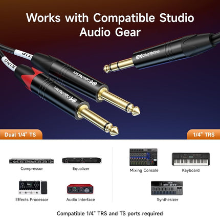 6.35mm TRS to Dual TS Insert Cable - 10 Feet