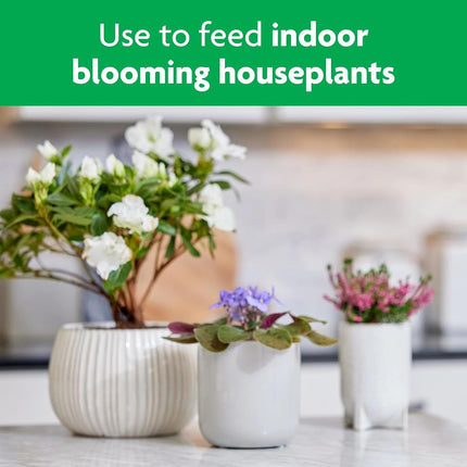 Miracle-Gro Blooming Houseplant Food, 8 oz.