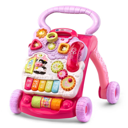 VTech Sit-to-Stand Learning Walker (Frustration Fr