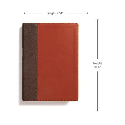 CSB Life Essentials Study Bible, Brown Leathertouch [Imitation Leather] Getz, Gene A; Csb Bibles by Holman and Stabnow, David K