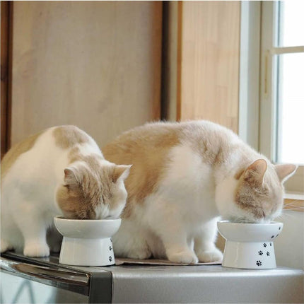 Necoichi Raised Cat Food and Water Bowl Set (Cat)