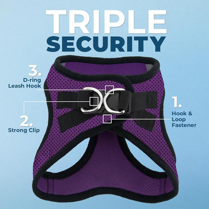 Voyager Step-in Air All Weather Mesh Harness and Reflective Dog 5 ft Leash Combo with Neoprene Handle, for Small, Medium and Large Breed Puppies by Best Pet Supplies - Purple/Black Trim, X-Small