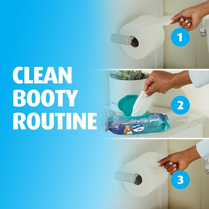 Charmin Flushable Wipes, 4 packs, 40 Wipes Per Pack, 160 Total Wipes