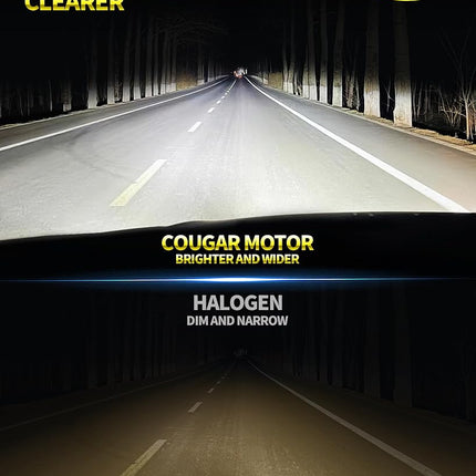 Cougar Motor D3S Ampoule HID 6500K Feu Anti-Brouillard Blanc - Ampoules Xénon Codes/Phares avec Base à Stents Métalliques, Lot de 2