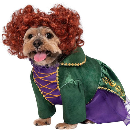 Rubie's Disney Hocus Pocus Winifred Sanderson Pet 