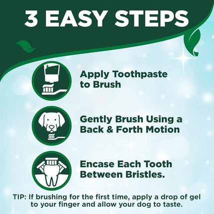 Vet's Best Dog Toothbrush & Enzymatic Toothpaste Kit - Teeth Cleaning - Made with Natural Ingredients - Reduces Plaque, Whitens Teeth, Freshens Breath - Bonus Care Guide & Finger Brush Included