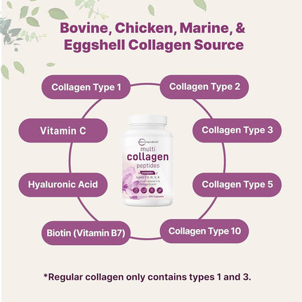 Micro Ingredients 2 Pack Multi Collagen Pills for Women & Men, 480 Capsules | Type I, II, III, V, X | Hydrolyzed Protein Peptides with Biotin, Hyaluronic Acid, & Vitamin C | Keto & Paleo Friendly