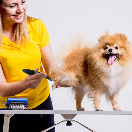 Ruri's Dog Clippers Cordless Cat and Small Dogs Clipper Low Noise Electric Pet Trimmer Dog Grooming Clippers for Trimming The Hair Around Paws Eyes Ears Face Rump