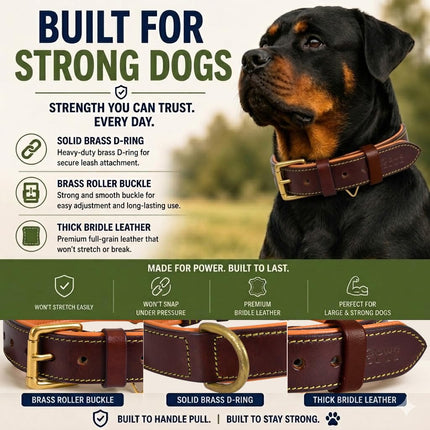 Genuine Leather Dog Collar | Brown | Full Grain, Heavy Duty, Strong, Comfortable, Padded | Best for Pups, Small, Medium, Large, XL Dog Breeds (XL (Neck Size 22.5"-25.5"), Brown)