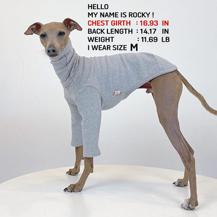 D Doggy Star Italian Greyhound Clothes Flexible T Shirts Whippet for Dogs (XL,Solid Grey)