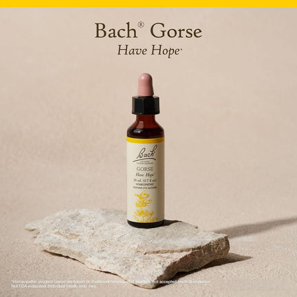 Bach Original Gorse Flower Remedies 20 ml