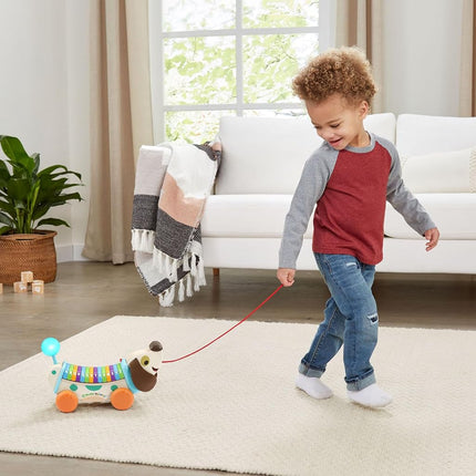 LeapFrog Wooden AlphaPup
