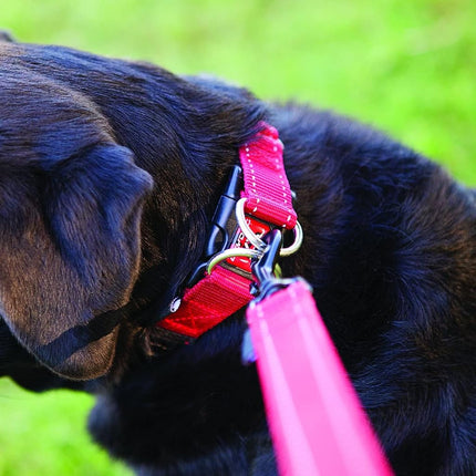 EZYDOG Double Up Dog Collar | Dog Collar Small, Medium, Large Dogs, Reflective Dog Collar, Supreme Comfort, Soft Neoprene Material, Strong Nylon Webbing (Medium, Corduroy)
