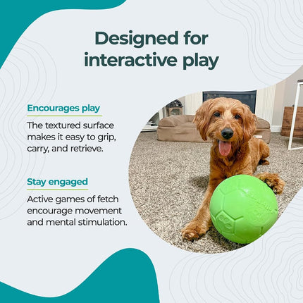 Jolly Pets Large Jolly Soccer Ball Floating-Bouncing Dog Toy; 8" Green Apple