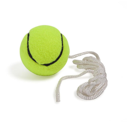 Champion Sports Tetherball Tennis: Swingball Outdoor Lawn Game for Kids, Adults, and Families - Backyard Tether Kit with Tennis Ball and Paddle Set
