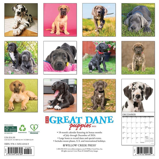 Willow Creek Press Great Dane Puppies Monthly 2025 Wall Calendar (12" x 12")