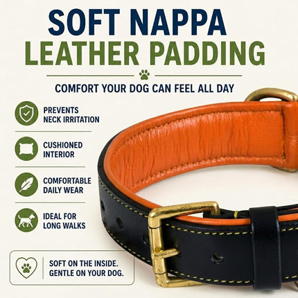 DowgClub Leather Dog Collar | Leather Collar for Small Dogs, .75 Inch Wide Black Dog Collar | Genuine, Full Grain, Heavy Duty, Comfortable, Inner Soft Padding (S (Neck Size 11.5"-14.5"), Black)