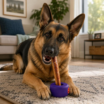 Bully Grip Bully Stick Holder for Dogs, Bully Lok Dog Safety Device, Prevents Choking Small, Medium, Large Dogs, Yak Cheese, Collagen, Dental Chew, Rawhide, Bone, Antler, Treats, Toy Safety Device