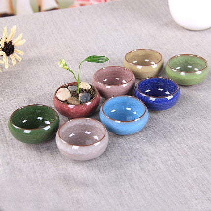 My Decor Succulent Plant Pot, 12 Pcs 2.5 Inch Ceramic Ice Crack Cactus Plant Pot/Flower Pot/Container/Planter