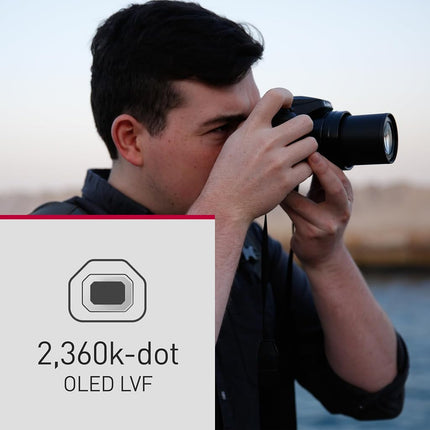Cámara digital Panasonic LUMIX FZ80D de apuntar y disparar con grabación de video/foto 4K y estabilizador óptico de imagen Power, cámara para vlogging con zoom óptico de 60x y lente gran angular de 20-1200 mm - DC-FZ80D