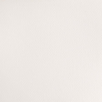 Winsor & Newton Cotman Watercolour Paint Half Pan – Chinese White 150