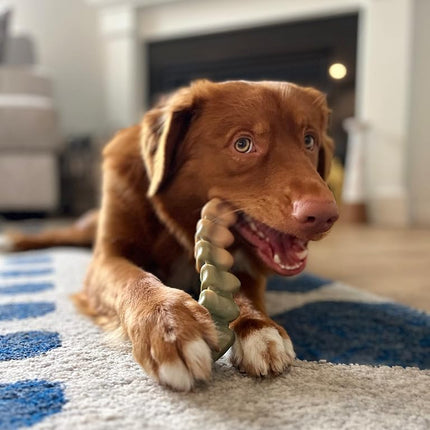 Nylabone Power Chew Gator Tail Alternative Dog Chew Chicken Large/Giant (1 Count)