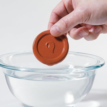 Progressive 55411 Brown Sugar ProKeeper, Clear Small