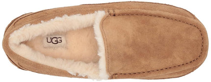 UGG Men's Ascot Slipper, Chestnut, 7 UK
