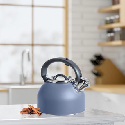 OGGI Tea Kettle for Stove Top - 64oz / 1.9lt, Stainless Steel Kettle with Loud Whistle, Ideal Hot Water Kettle and Water Boiler - Blue