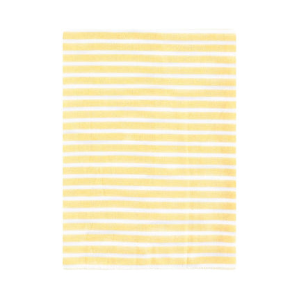 Hudson Baby Unisex Baby Flannel Burp Cloth 12pk, Fun Desert, One Size