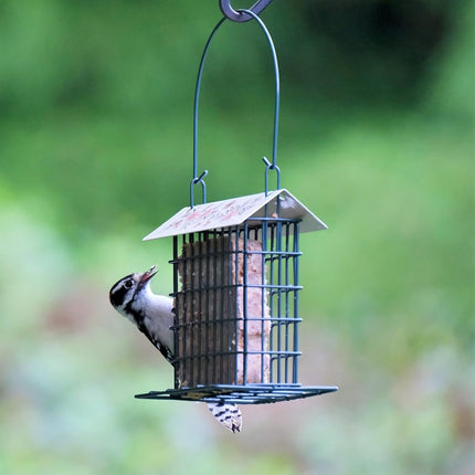 Wild Wings Decorative Metal Suet Cage Feeder for Outdoor Décor Wild Bird Feeders, 1 Suet Cake Capacity, Hanging Suet Feeder, Black