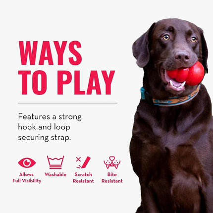 KONG Cloud Inflatable Recovery Collar for Dogs and Cats, Small
