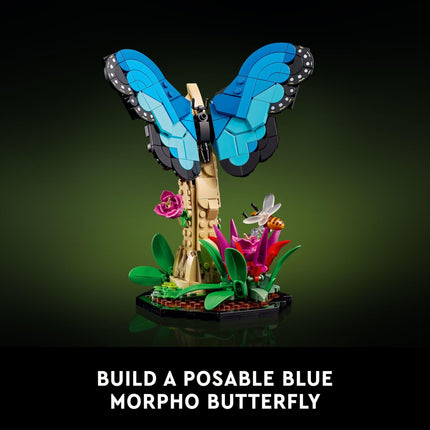 LEGO Ideas The Insect Collection, Fun Gift for Nature Lovers, with Life-Size Blue Morpho Butterfly, Hercules Beetle and Chinese Mantis Display Models, Insect Building Set, Nature Décor (6452127)
