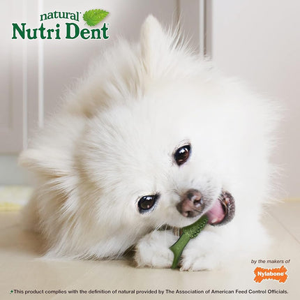 Nylabone Nutri Dent Fresh Breath 160Count Box