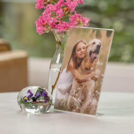 Snap 4x6 Clear Acrylic Self Standing Frame, Set of 12