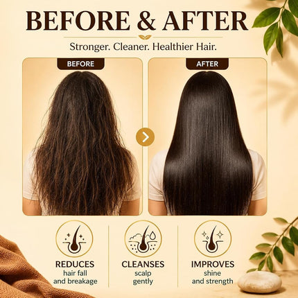 Amla with Shikakai and Reetha Shampoo - Hair Fall Control Shampoo - all Natural Herbal Shampoo - Shampoo for Hair Loss - Shampoo for Oily Hair - 350ml - Vaadi Herbals