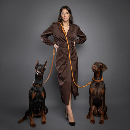 NOAH & PAW Hands Free Dog Leash, Oil-Waxed Leather & Heavy-Duty Paracord, 8 ft, Long Dog Leash with 6 Ways to Use (Ideal for Cats, Small, Medium & Large Dogs) Matching Collar Available. (Camel)