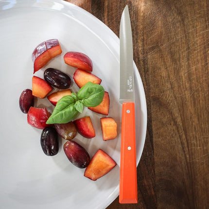 Opinel Bon Appetit Pop Box of 4 Table Knife No125 S/S - 11cm (Tangerine/Apple Green/Fuchsia/Purple)