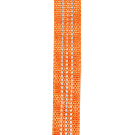 Carhartt Nylon Webbing Dog Collar, Fully Adjustable W/Durable Side Release Buckle, Hunter Orange, Medium