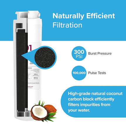 Remplacement du filtre à eau Brio MSWF. Compatible avec GE MSWF, 101820A, 101821B, MSWF3PK et MSWFDS, NSF 42, 53, 372 et 401