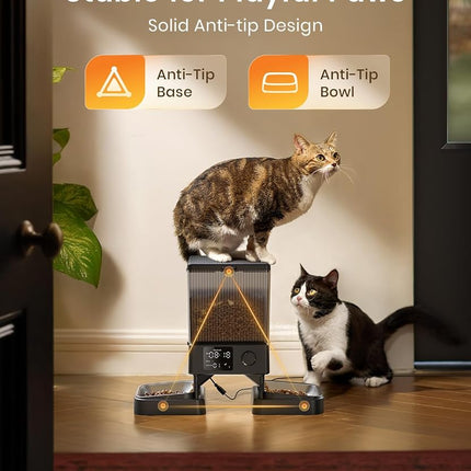 oneisall Automatic Cat Feeder for 2 Cats Pets, Timed Cat Food Dispenser