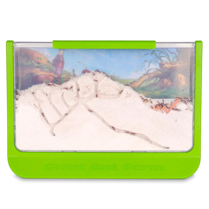 Uncle Milton | Giant Ant Farm | Extra Large Viewing Area with Ant Picnic Scene, Classroom Toy, Classic Kids Educational Toy for Boys and Girls Aged 6+ | Basic Fun 00056