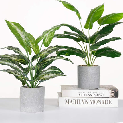 Der Rose 2 Pack Fake Plants Artificial Potted Faux Plants for Office Desk Home Farmhouse Decor