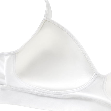 Hanes Women's Comfort Evolution Lace Wirefree Bra, Tick Tock Chevron Pattern, M