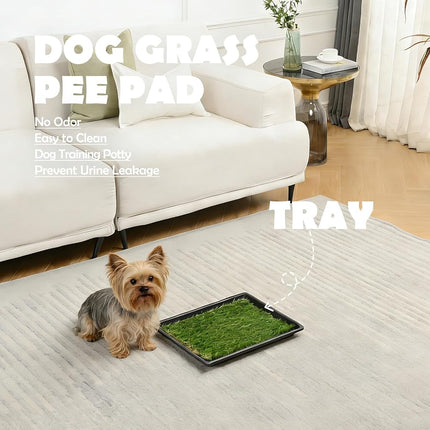 MEEXPAWS Dog Grass Pee Pads for Dogs with Tray | Small 44×34 cm | 2× Dog Artificial Grass Pads | 2 Training Pads | Indoor Dog Litter Box (Under 3kg Dog)