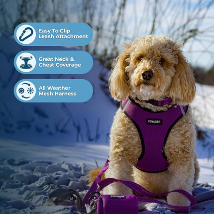 Voyager Step-in Air All Weather Mesh Harness and Reflective Dog 5 ft Leash Combo with Neoprene Handle, for Small, Medium and Large Breed Puppies by Best Pet Supplies - Purple/Black Trim, X-Small