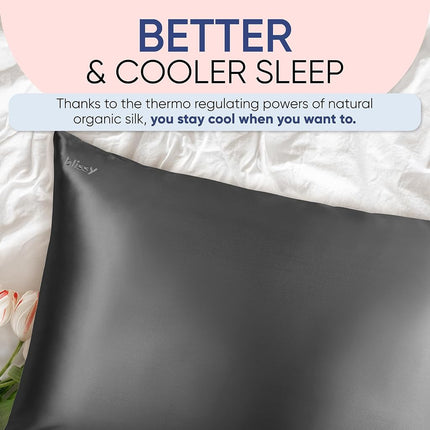 Funda de almohada de seda BLISSY - 100% seda de morera pura - Fibras de alta calidad 6A de 22 Momme - Funda de almohada de satén para cabello y piel - Regular, Queen y King con cremallera oculta, gris